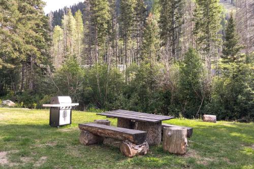 Sierra Del Sol - Fantastic Ski-In Ski-Out Retreat condo - image 4