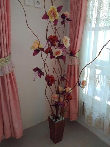 Homestay Anggur, Bukittinggi