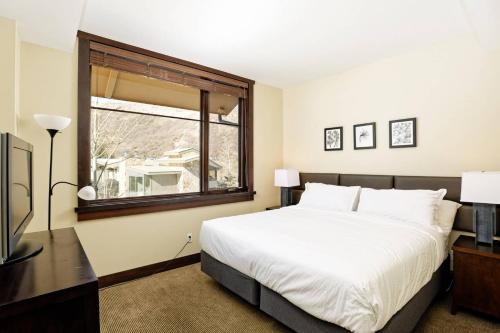 Hayden Lodge 2201 in Snowmass Village, USA