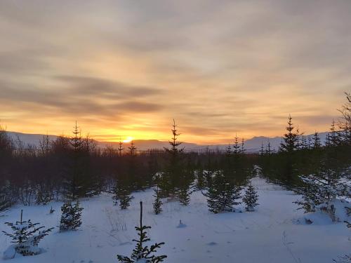 Bakkakot 2 - Cozy Cabins in the Woods Bakkakot 2 - Cozy Cabins in the Woods