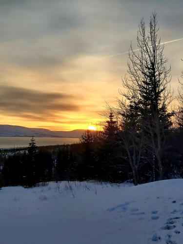 Bakkakot 1 - Cozy Cabins in the Woods Bakkakot 1 - Cozy Cabins in the Woods