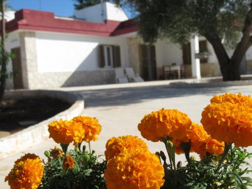  Casa Ale & Vinci, Unterkunft in Monopoli