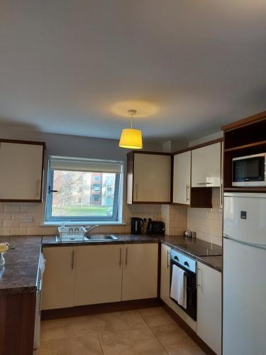 Kitchen, Wild Atlantic Apartments Killarney in Killarney