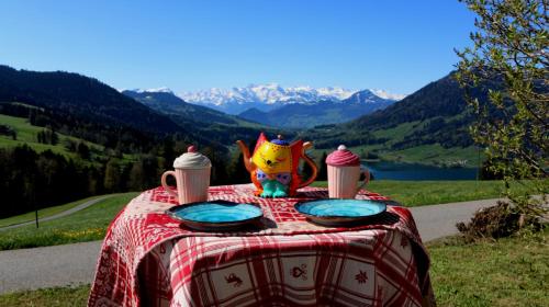Gorgeous Alps and Lake View Studio