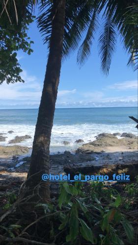 El Pargo Feliz photo
