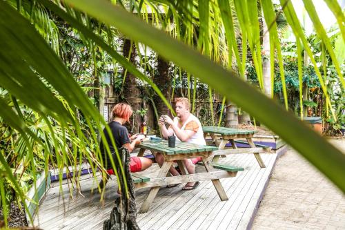 정원, Centabay Lodge and Backpackers in 베이 오브 아일랜즈