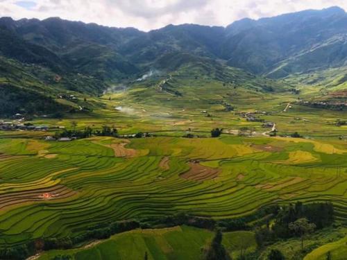 nha nghi phu ly