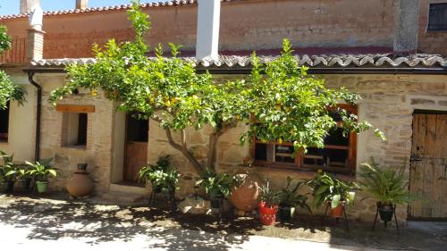  Felicity House - La Casa del Sol in Valverdeja