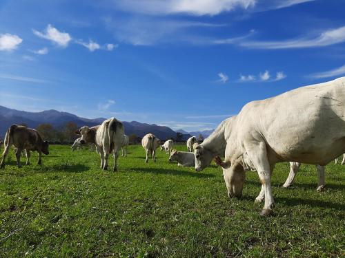 Agriturismo Fior Di Campo
