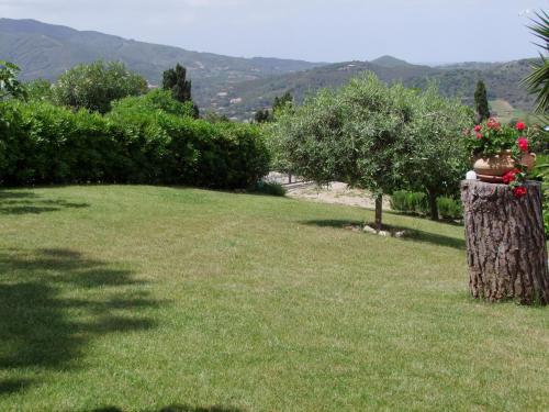Apartment in villa 2 to 4 persons with large garden stella - image 5
