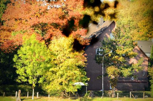 Waldhotel Twiehaus Garni