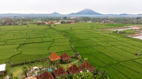 Aswanaya Villas Ubud