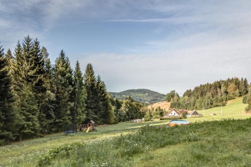 Vistas, Ski, hike & bike apartmán Rokytnice nad Jizerou (Ski, hike & bike apartman Rokytnice nad Jizerou) in Rokytnice nad Jizerou