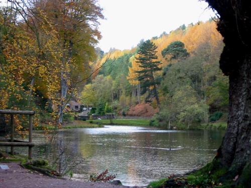 Rock View Cottage, 2 bedrooms near Alton Towers