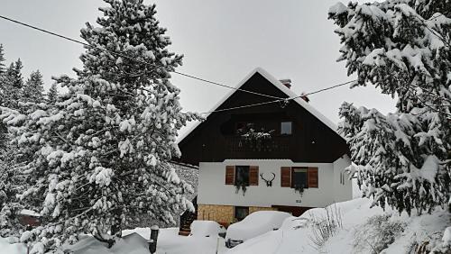 APARTMENT CHALET -BOHINJ- Pokljuka- Triglav National Park