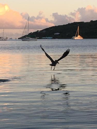 Naniqui Cottage - Only Adults -Parking Golf Car Only in Culebra