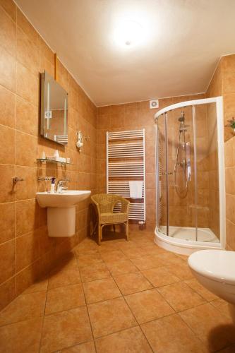 Pension Paseka - image 12