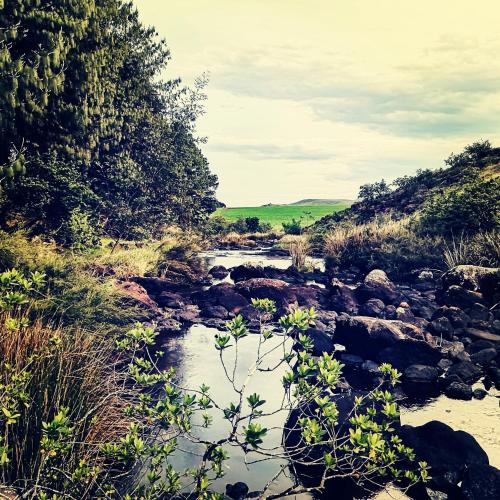 Pemandangan, Otters Den in Howick