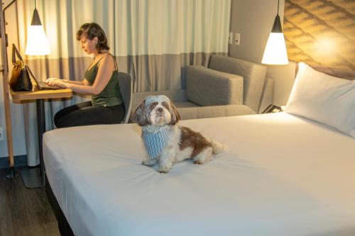 Standard Room with Double Bed and Sofa Bed image 5