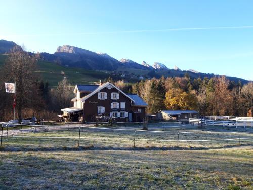 Studio Chic Mit Whirlpool - Wildhaus