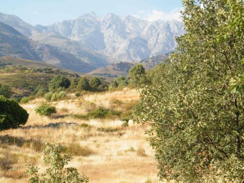 El Rincón de los Riveros