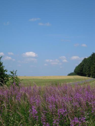 Ferienwohnungen Aufm Kalk - image 4
