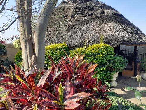 Beautiful 2-Bedroomed Guest Cottage in Harare