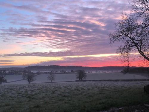 Beautiful Rural Yurt with Fire pit near Bruton - image 6