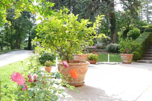  La Pergola in Castell´Arquato in CastellʼArquato