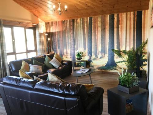 Silver Birch Lodge With Hot Tub Near Cupar Fife, , Fife