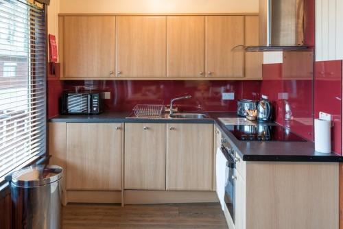 Birch Lodge 19 with Hot Tub Newton Stewart - image 4