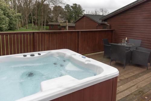 Birch Lodge 19 with Hot Tub Newton Stewart gîte à louer Loch Moan