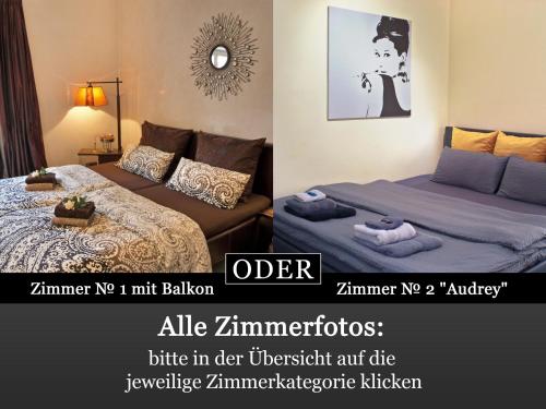 Lion Homestay Munich, Monaco di Baviera (foto 8)