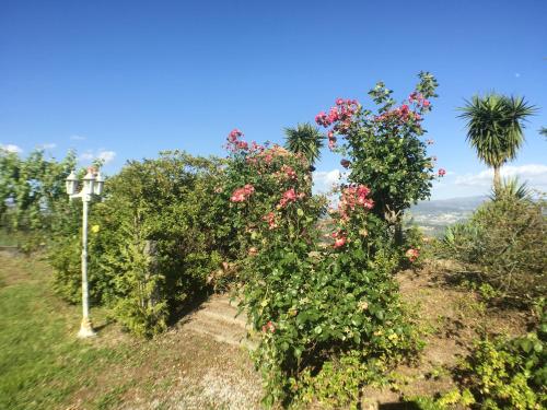 Villa with 4 bedrooms in Penafiel with wonderful mountain view private pool enclosed garden 50 km from the beach - image 11