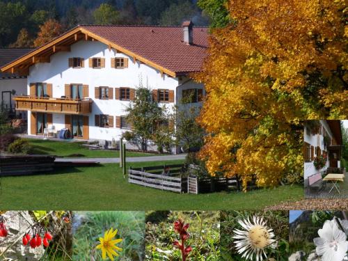 Ferienwohnungen Hennenmühle - Apartment - Oberjoch-Hindelang