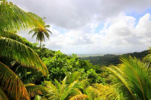 Vista exterior, Maison douce à Rivière-Salée avec vue sur jardin & montagne (Maison douce a Riviere-Salee avec vue sur jardin & montagne) in Riviere-Salee