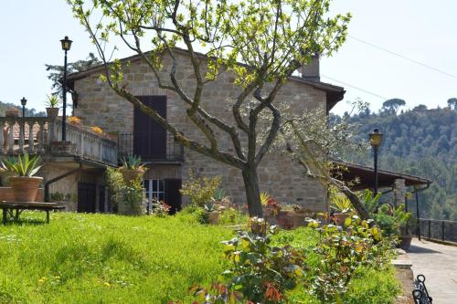 Apartment with 3 bedrooms in Torgiano with shared pool enclosed garden and WiFi - image 5