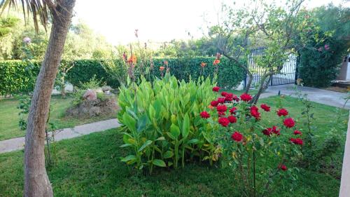 House with 3 bedrooms in Kakovatos with enclosed garden and WiFi - image 8