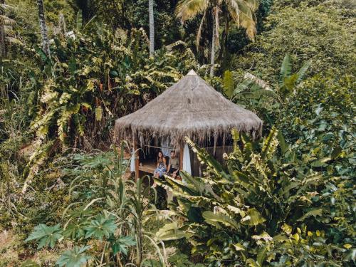 Jungle Lodge 2