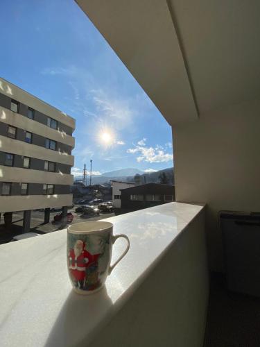Alpha Apartment, Braşov (foto 6)