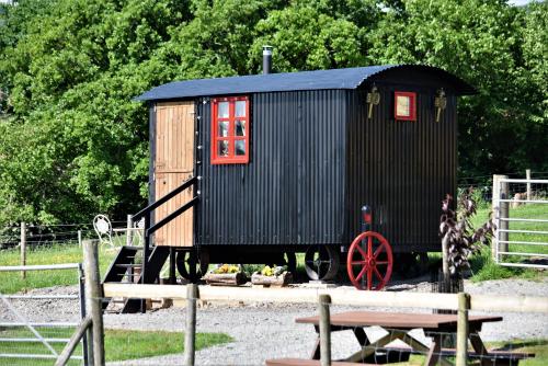 Meadow Shepherds hut gîte à louer Abbey-Cwmhir