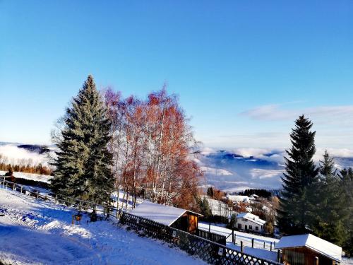 WeiXL Schi&Bike Appartements-Bike in&Bike out neben Wexl Trails Bikepark - Accommodation - Sankt Corona am Wechsel