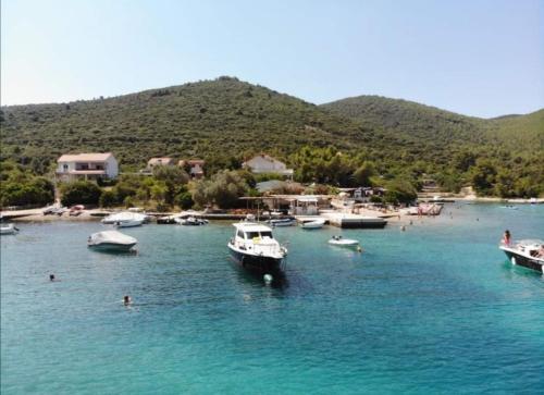  MaNiA in Korčula