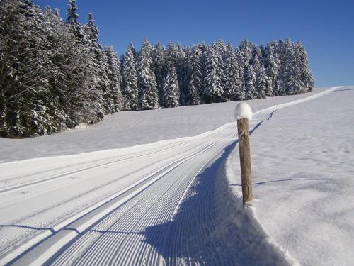 Wellnesshotel Linde - image 10