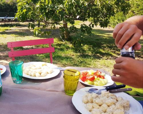 Clos des Vignes Pampelonne Vineyard - image 4