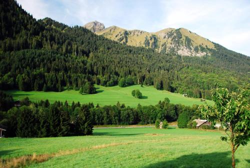 Chalet Cannelle, Châtel (foto 5)