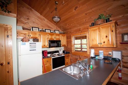 Ridgecrest Drive Cabin 1606 - image 7