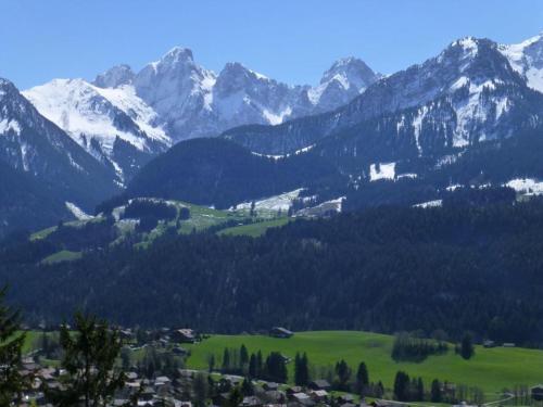 Luxury Alpine Apartment