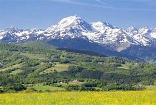 Apartment with one bedroom in Tarbes with enclosed garden and WiFi - main image