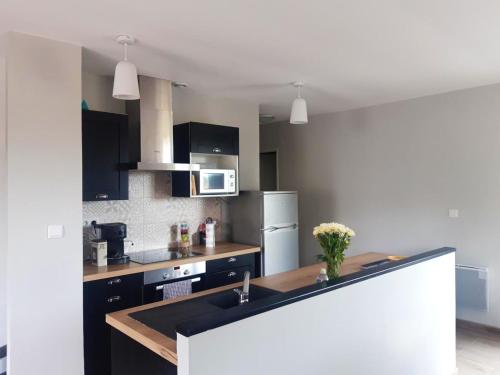 Maison de 3 chambres a Campagne les Wardrecques avec jardin clos et WiFi gîte à louer Quiestède